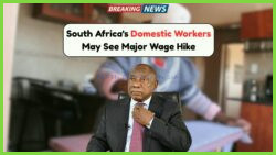 South Africa's Domestic Workers on the Brink of Transformative Pay Raise: New Proposal Aims to Boost Wages and Benefits